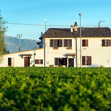 La Casa Di Smilla - Holiday home