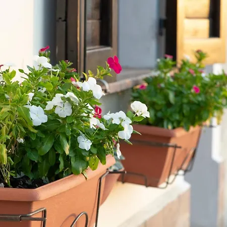 La Casa Di Smilla - *