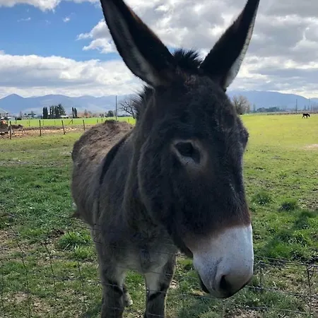 La Casa Di Smilla - * Foligno