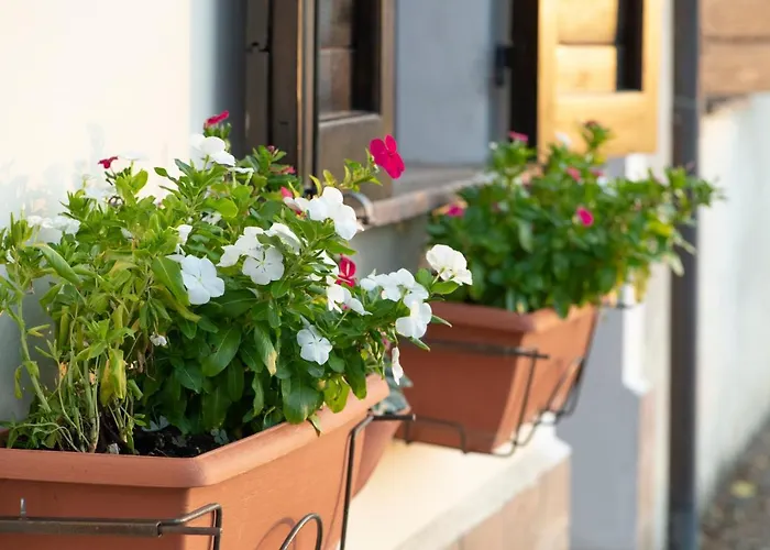 La Casa Di Smilla - *