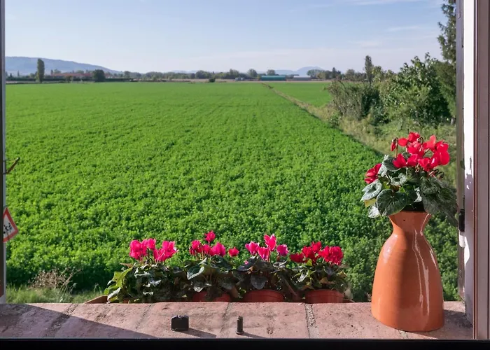 La Casa Di Smilla - بيت للعطل *