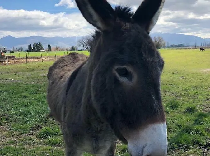 La Casa Di Smilla - * Foligno